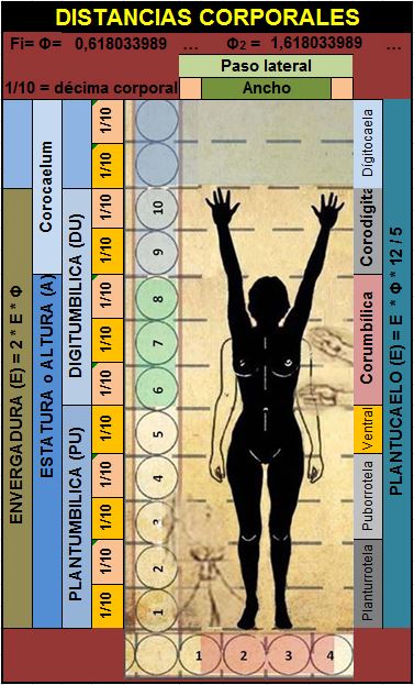 Nombre de las distancias en el cuerpo humano
